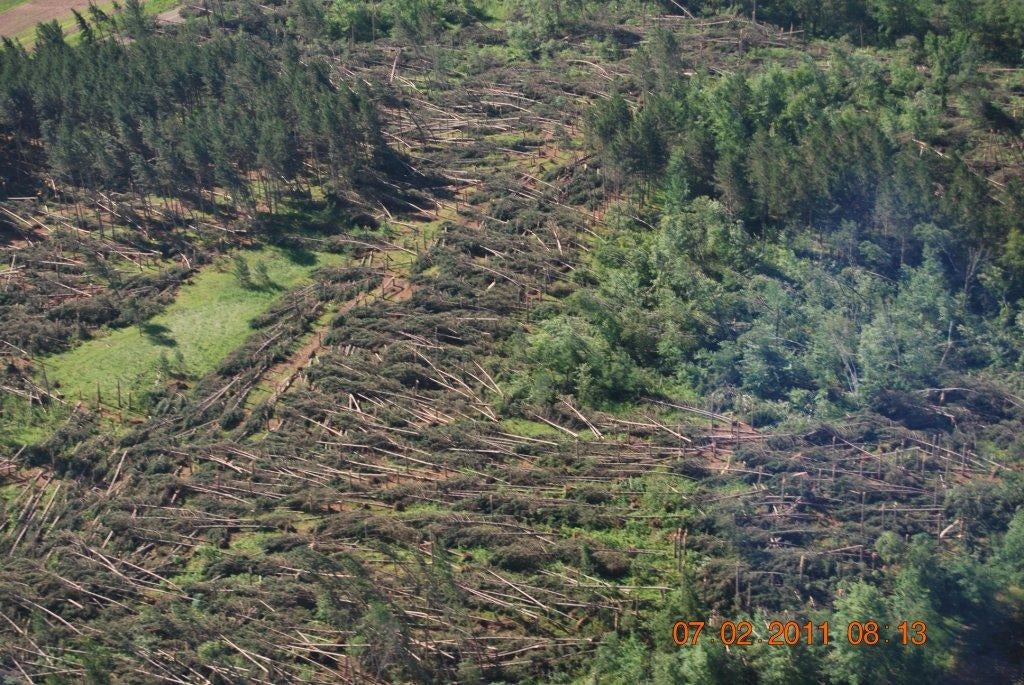 Fire Restrictions in Northern Wis. Blow Down Area WPR