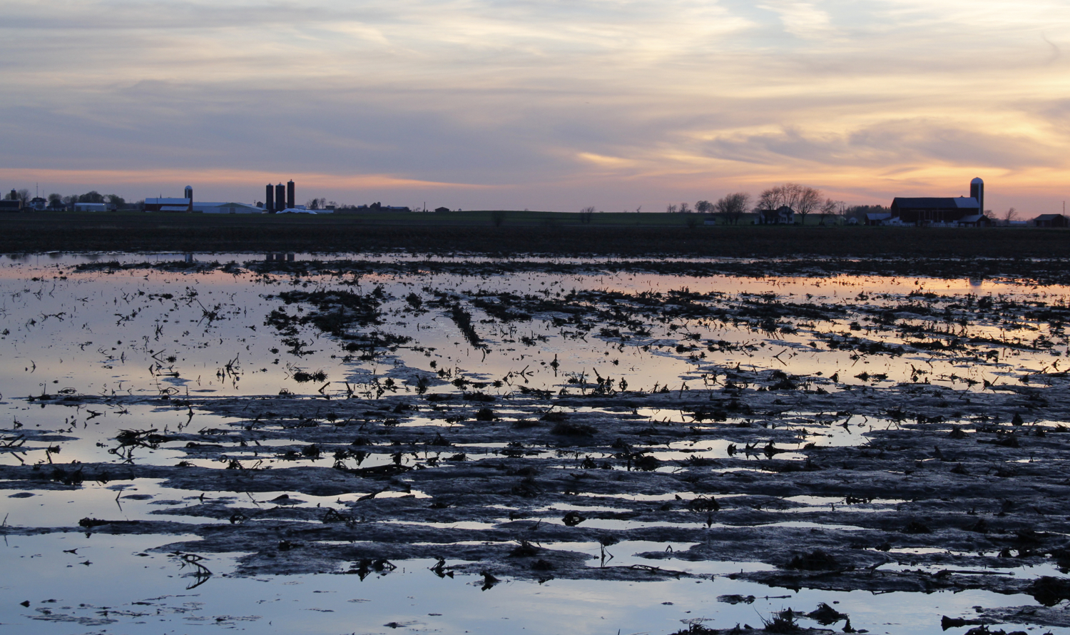 Flooded field in Calumet County, May 2013