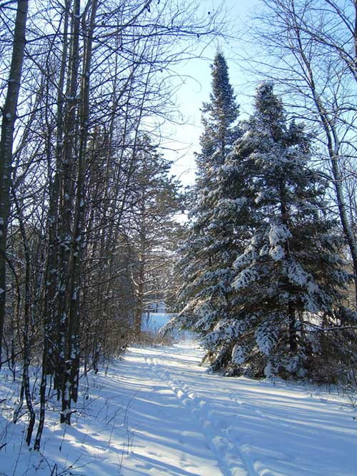 Reflections on new seasons, renewal, ahead