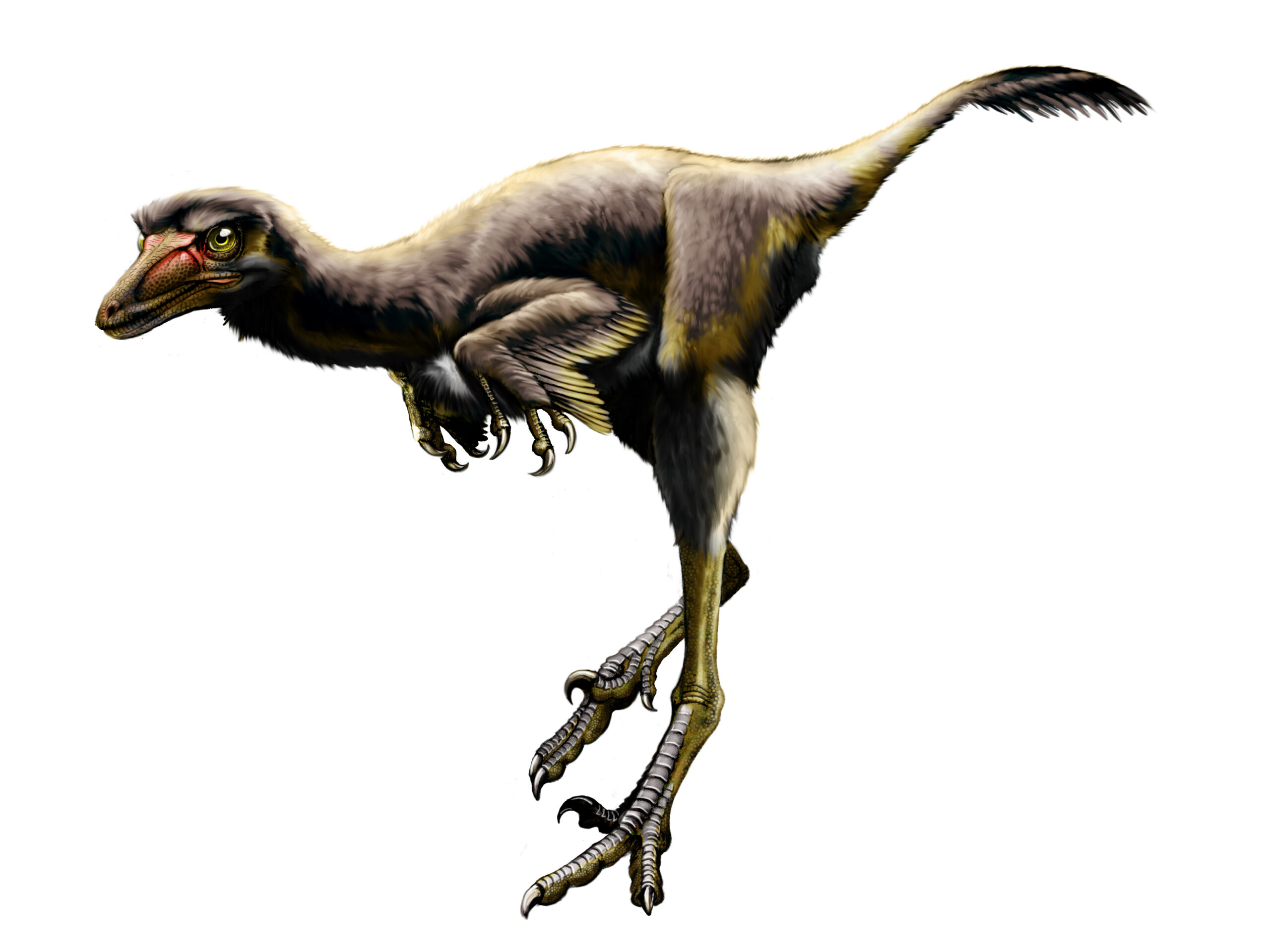 UW-Parkside professor helps discover new species of raptor dinosaur