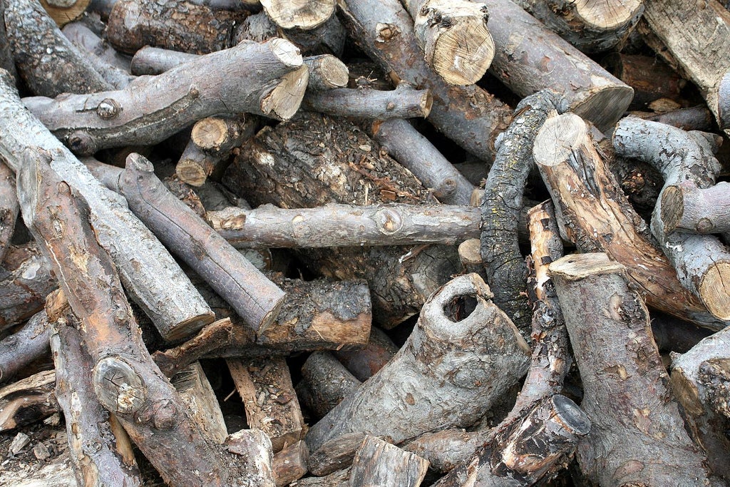 Bitter Cold And Propane Shortages Leave Firewood Hard To Come By WPR