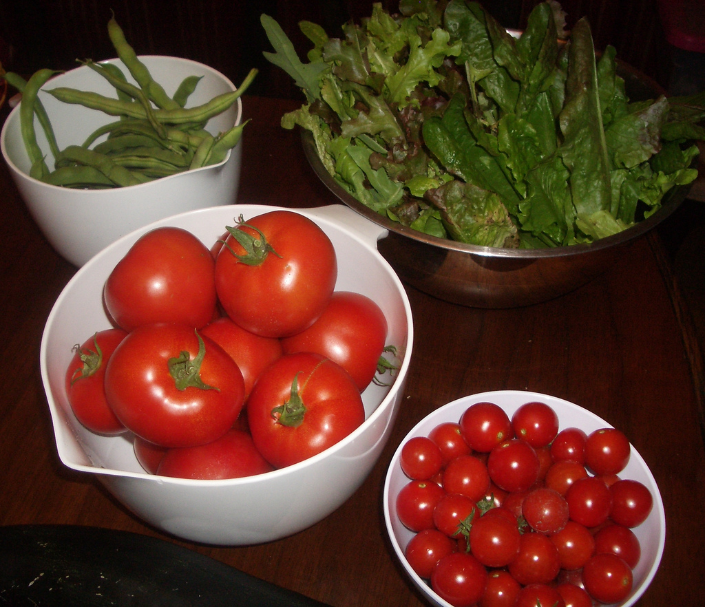 Cherry Tomato and Green Bean Salad
