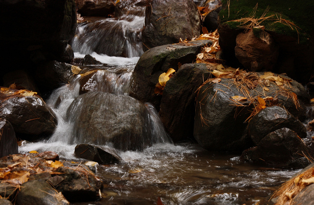 fall stream, Michael Leland (CC-BY-NC)