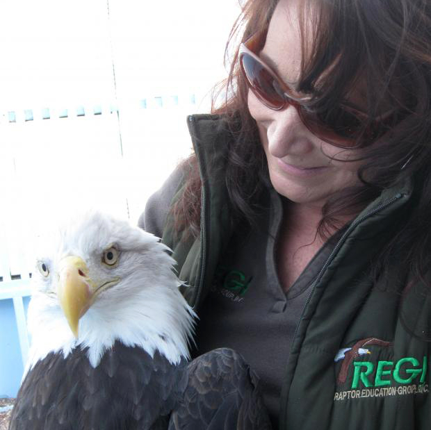 Wildlife Rehab Center Asks Hunters To Save Deer Hearts For Eagles