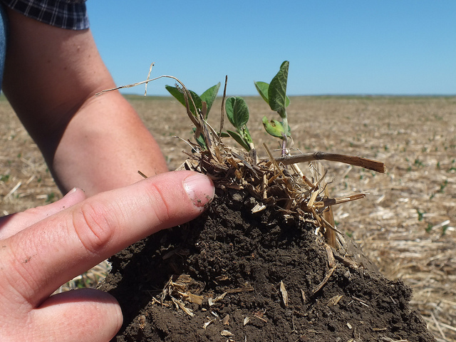 healthy soil, USDA NRCS South Dakota (CC-BY-SA).