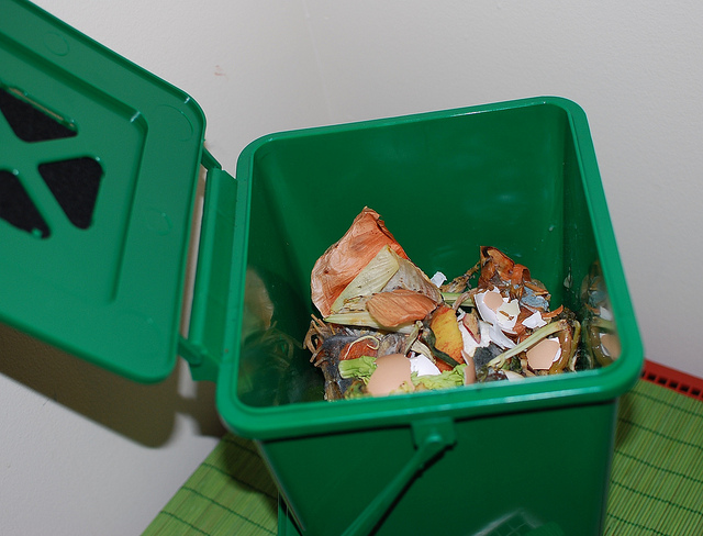 kitchen compost, Tiffany Washko (CC-BY)