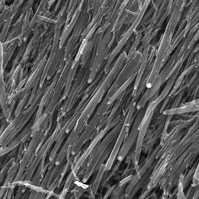 UW Scientists Make Breakthrough In Nanotube Technology