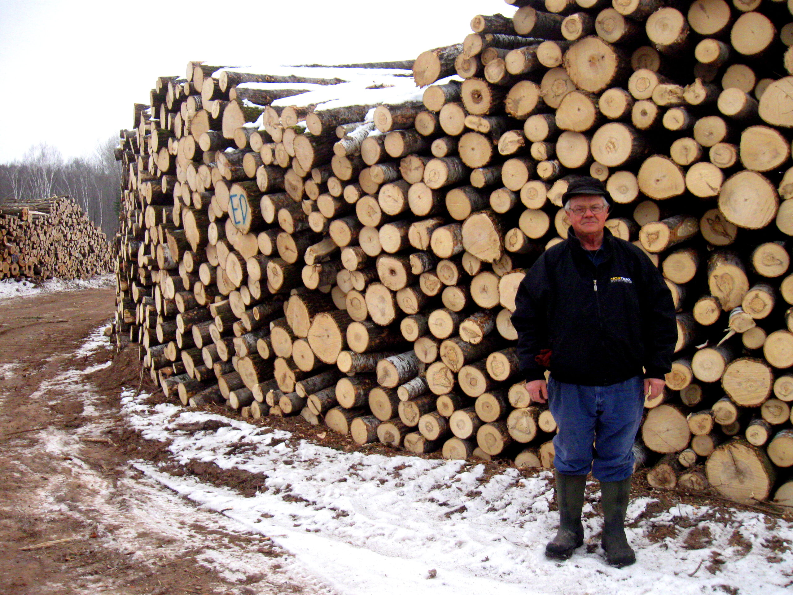 Loggers Demand Access To More Land As Costs Of Harvesting Timber Soar