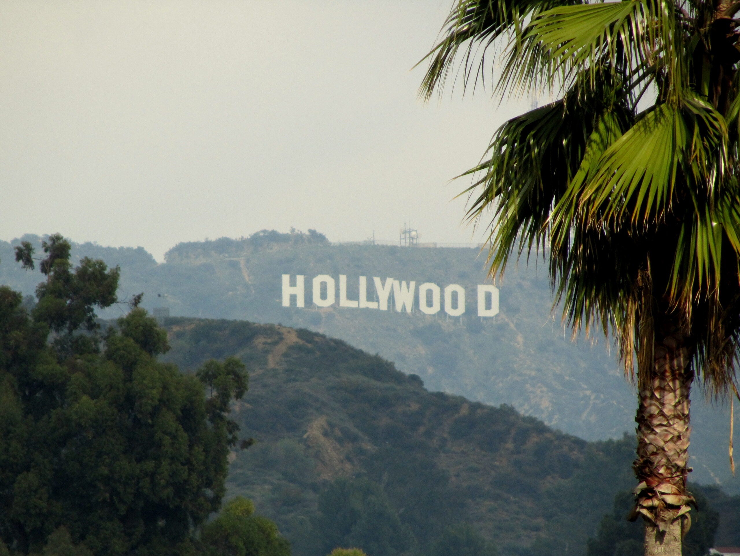 The Hollywood sign