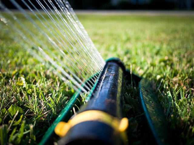 watering the lawn