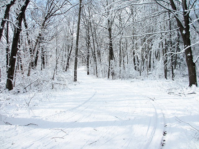 Wisconsin winter landscape