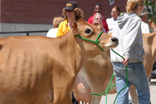 4-H Youth Development.