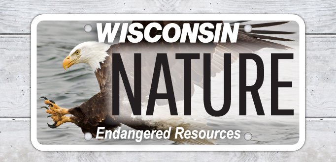 New Wisconsin License Plate Features Bald Eagle