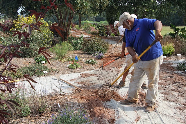 Summer activities, like gardening, can cause pain in neck, back, and shoulders