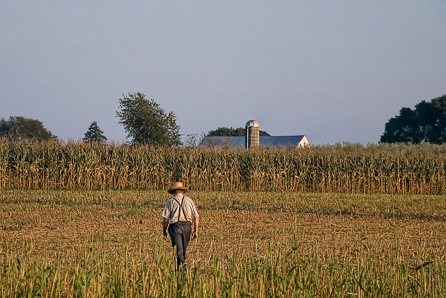 State Rules Amish Can Build A Home Without A Smoke Detector, Indoor Plumbing
