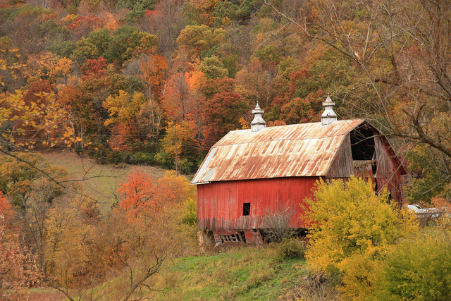 barn in fall colors setting