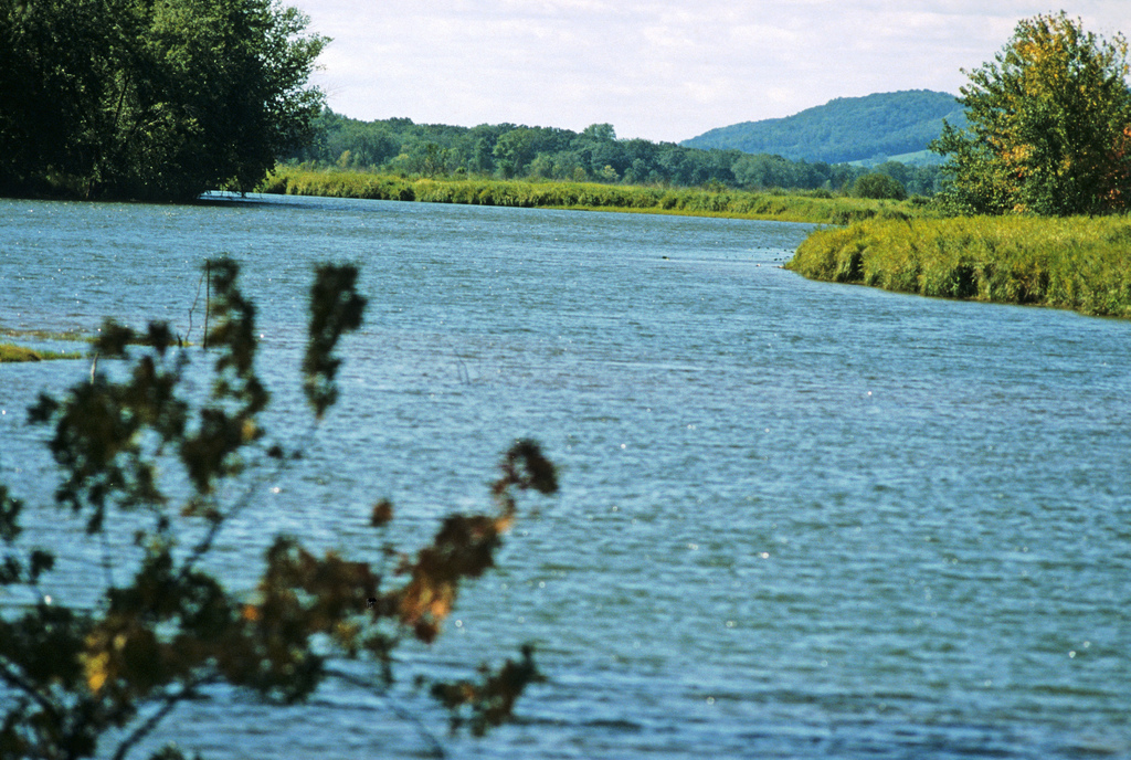 Activists, Group Ask EPA To Look Into DNR’s Efforts To Protect State Waters