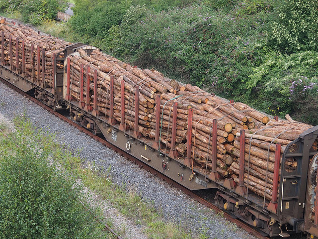 timber being hauled by train