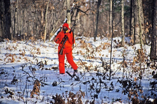 Wisconsin hunters got slightly fewer bucks during gun deer season