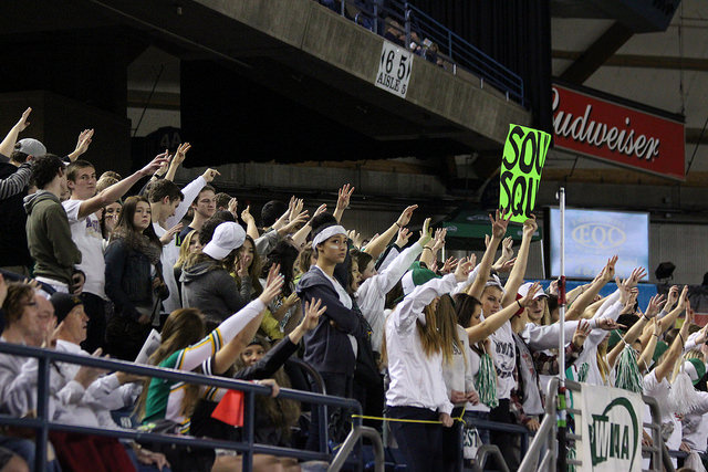fans in the stands