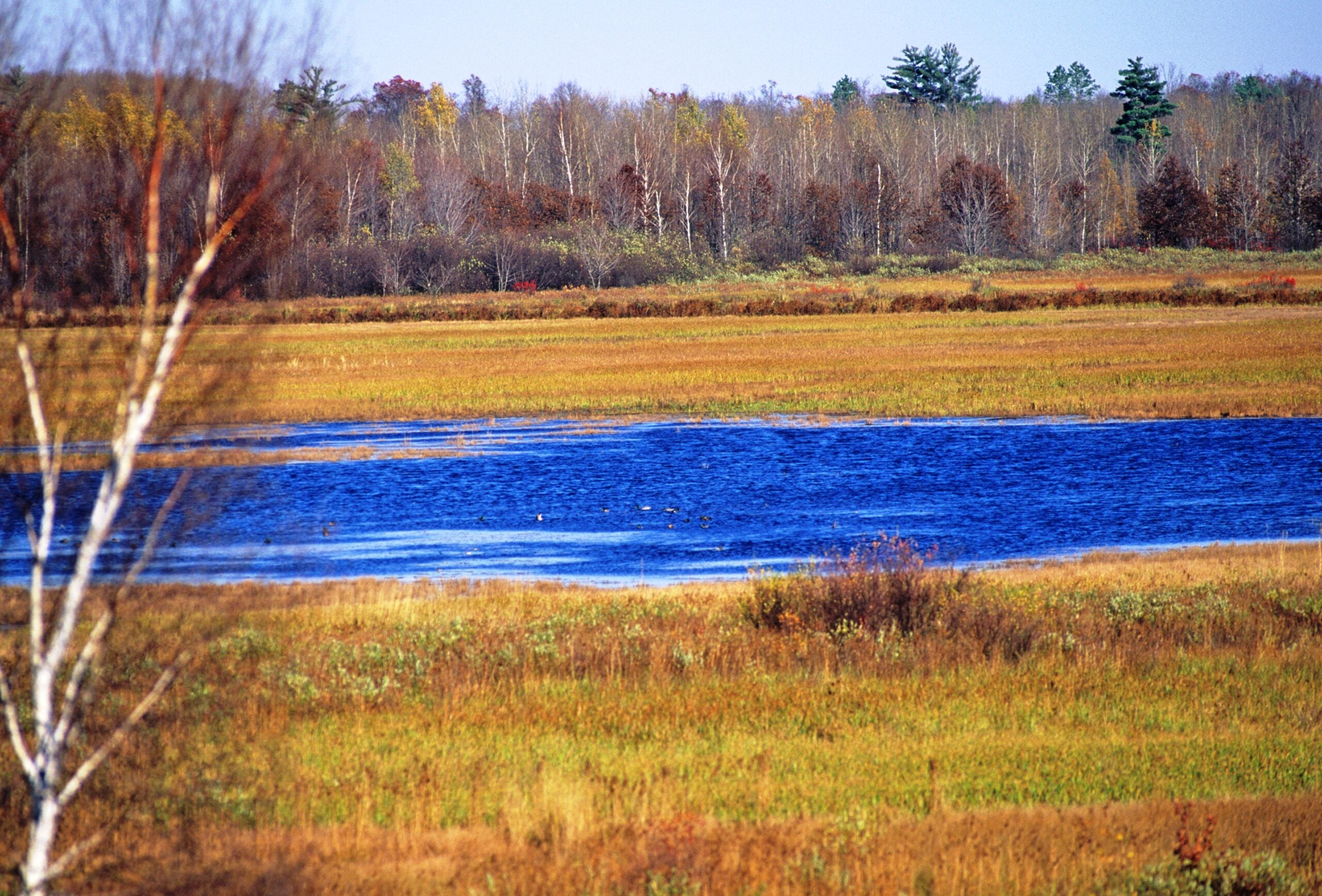 Sandhill Wildlife Area