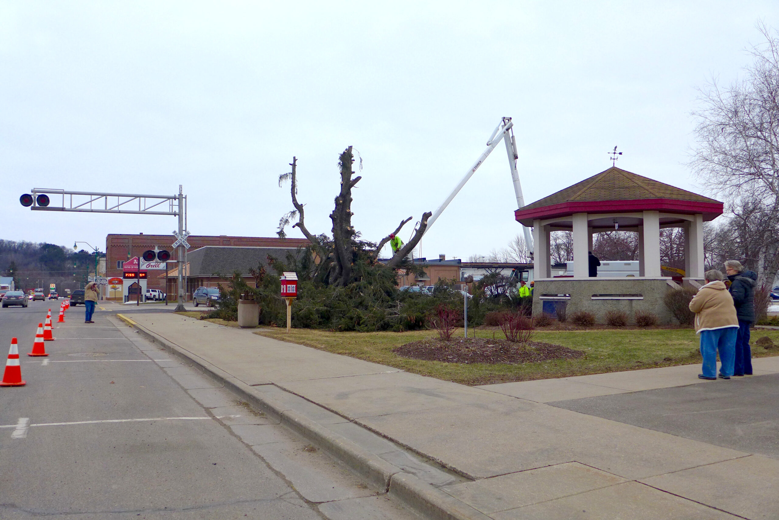 Despite Protest From Residents, 100-Year-Old Pine Tree In Wisconsin Town Is Felled