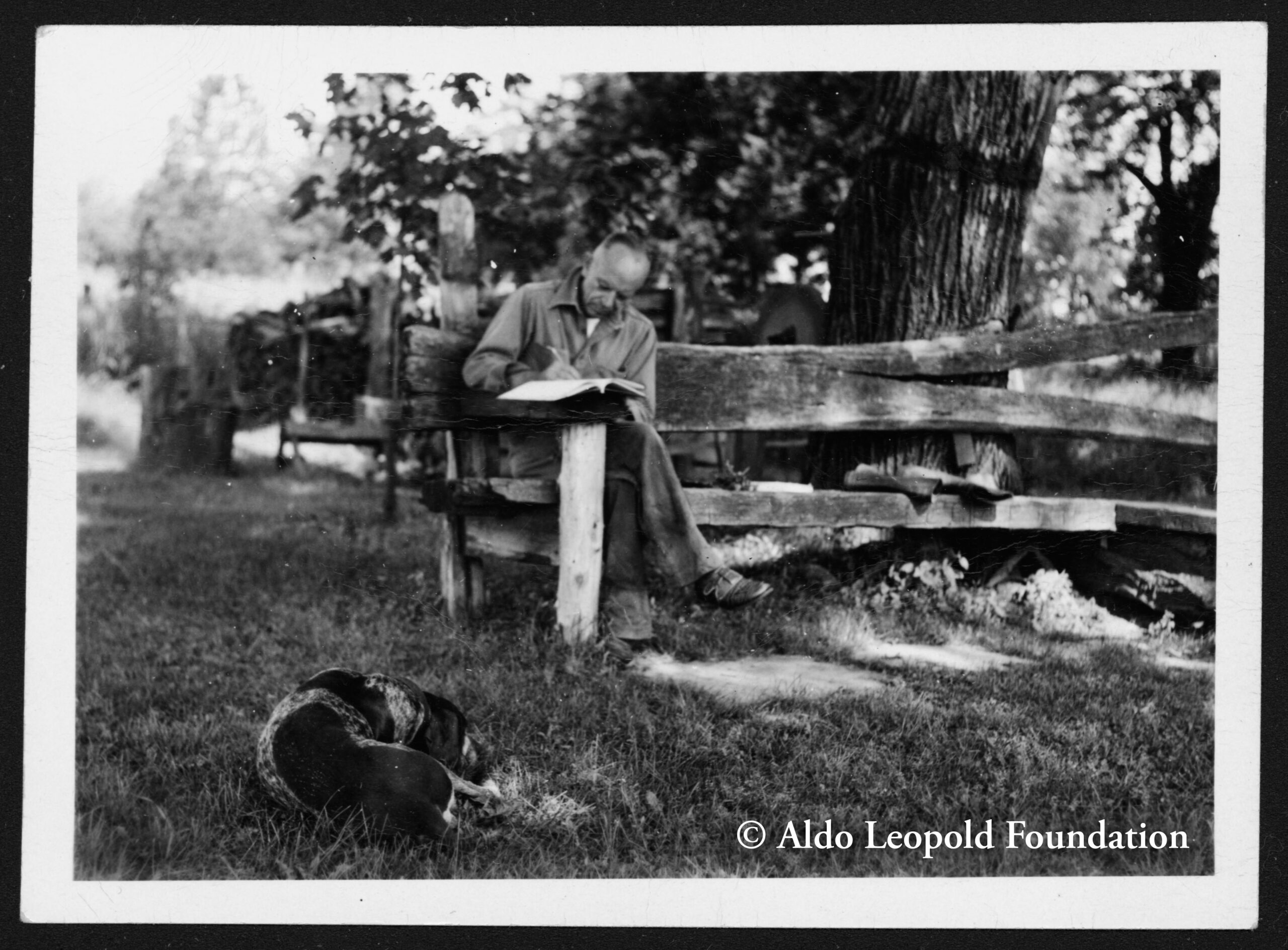 Aldo Leopold at the Shack with his dog, Flick