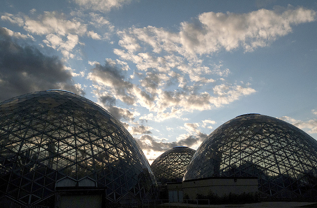 Mitchell Park desert domes