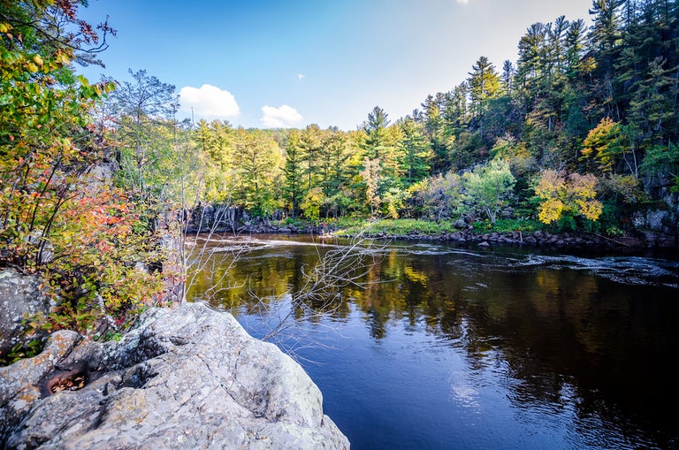 lake surrounded by trees