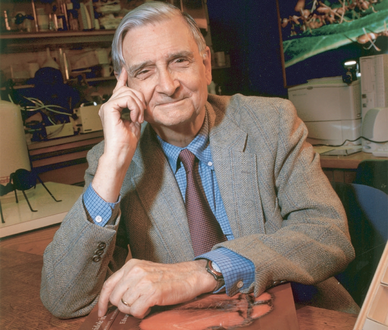 Why Famed Biologist E.O. Wilson Wants To Eradicate Killer Mosquitoes