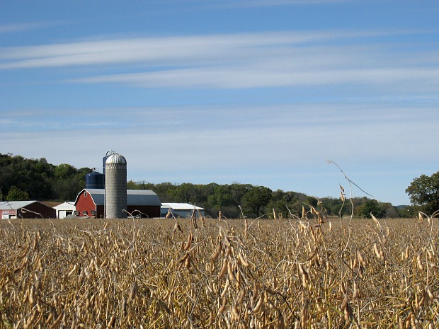 A farm and surrounding fields in south-central Wisconsin