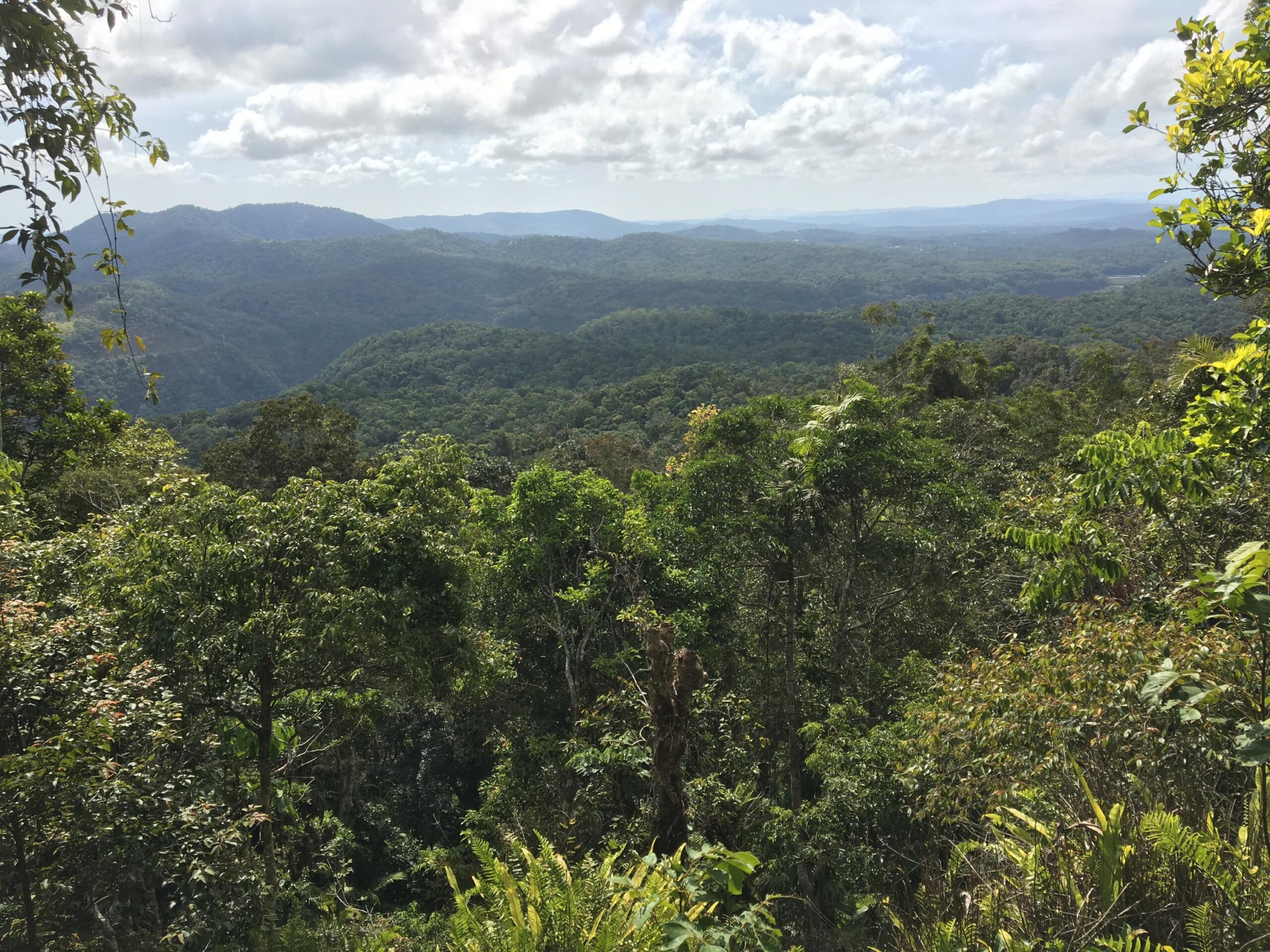 View from Skyrail coming down Macalister Range in Kuranda - Photo by Allen Rieland