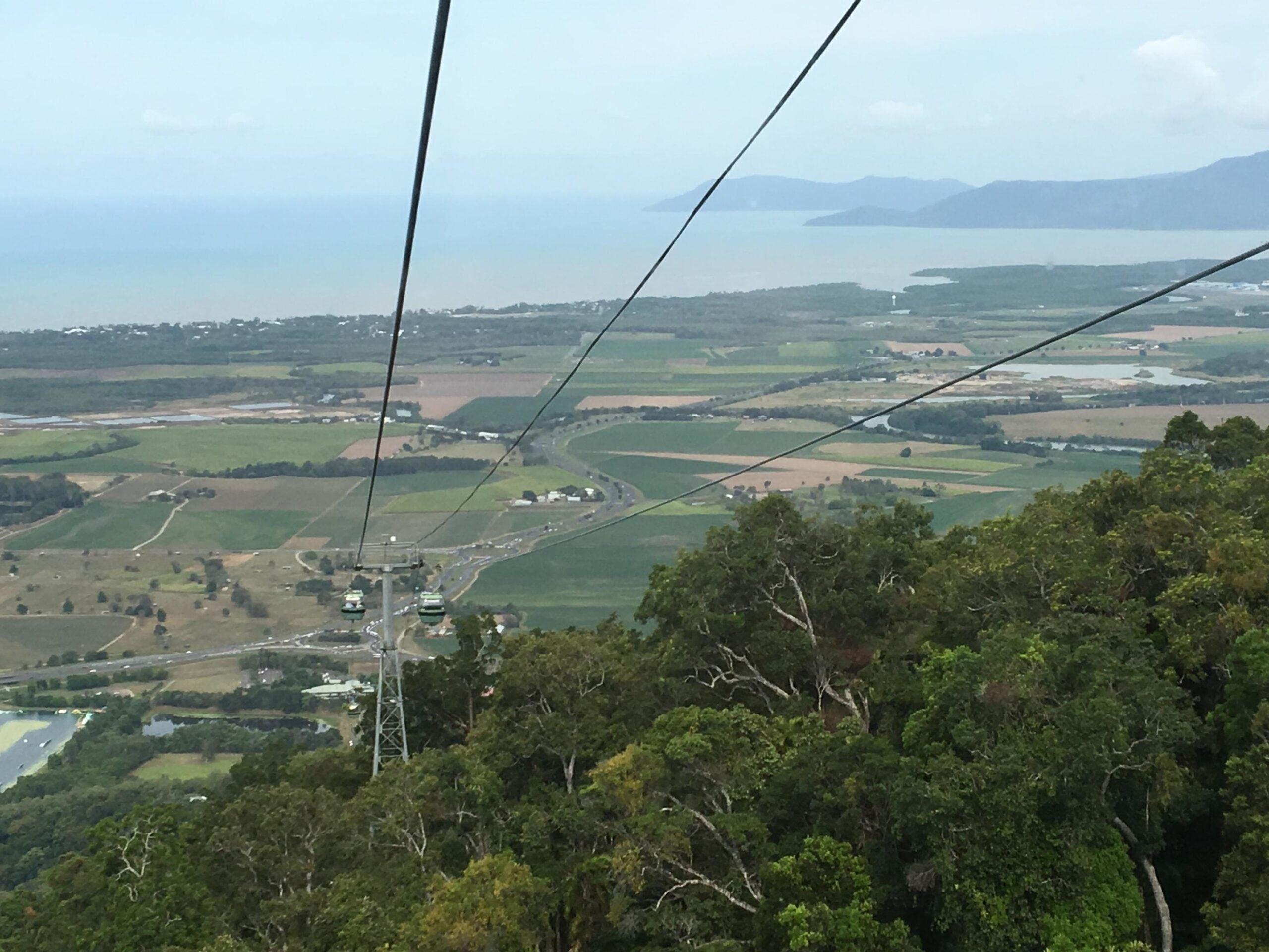 View from Skyrail coming down Macalister Range in Kuranda - Photo by Allen Rieland
