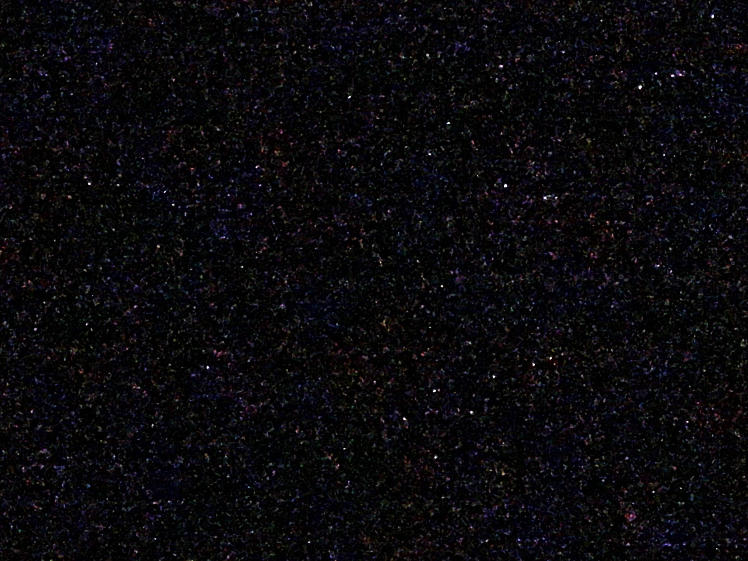 Glow Worms in Lamington National Park - Photo by Allen Rieland