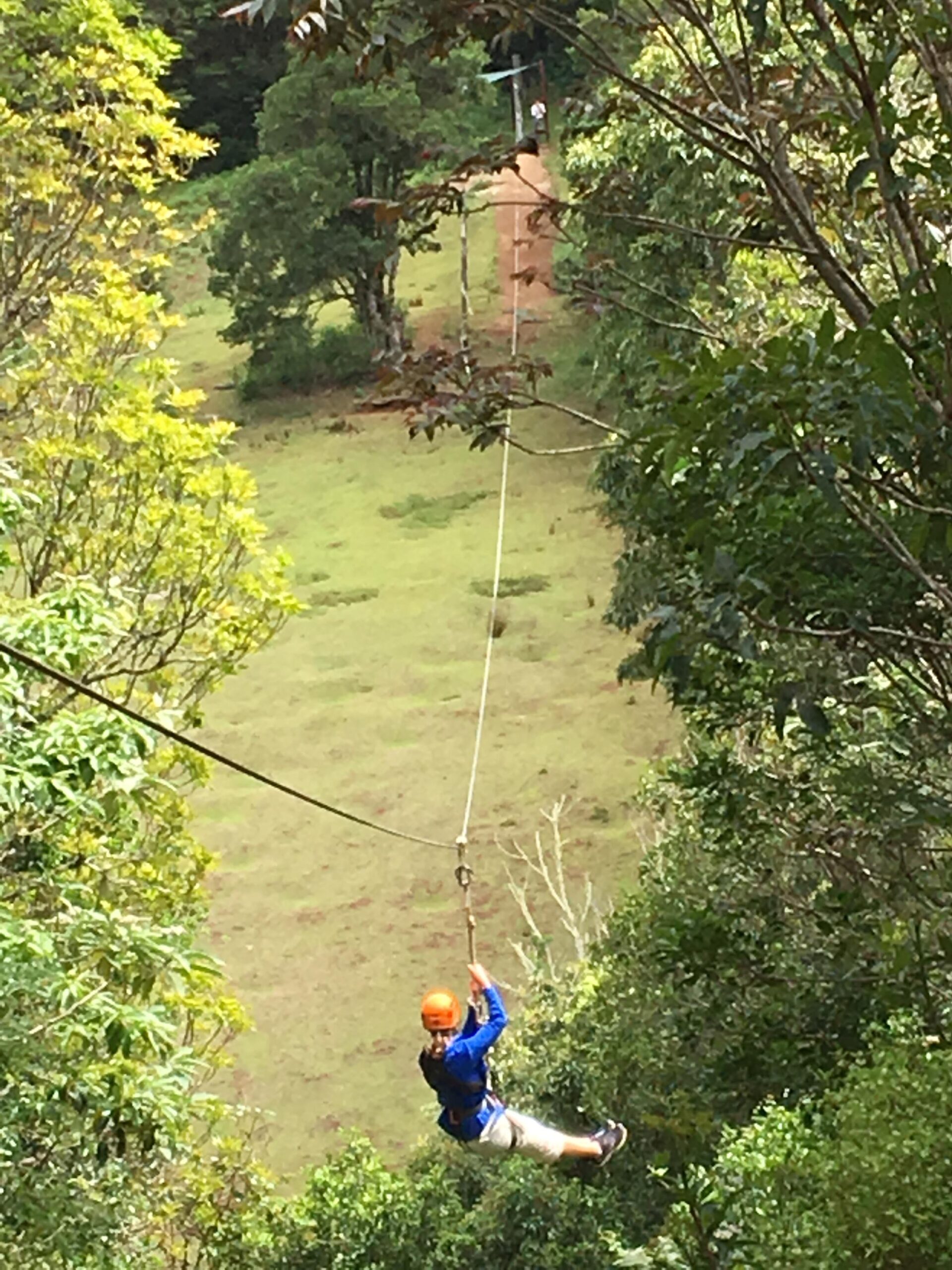 Traveling down O'Reilly's Zip-line course in Lamington National Park - Photo by Allen Rieland