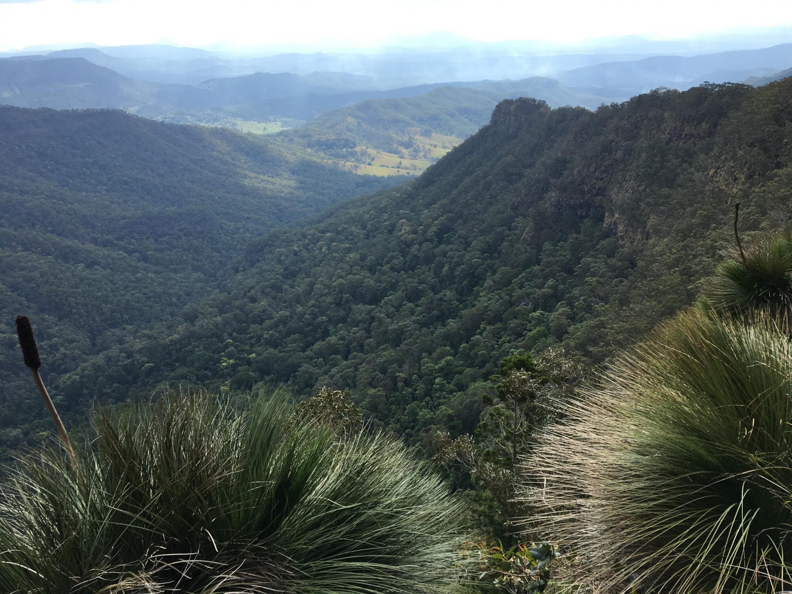 Lamington National Forest - photo by Allen Rieland
