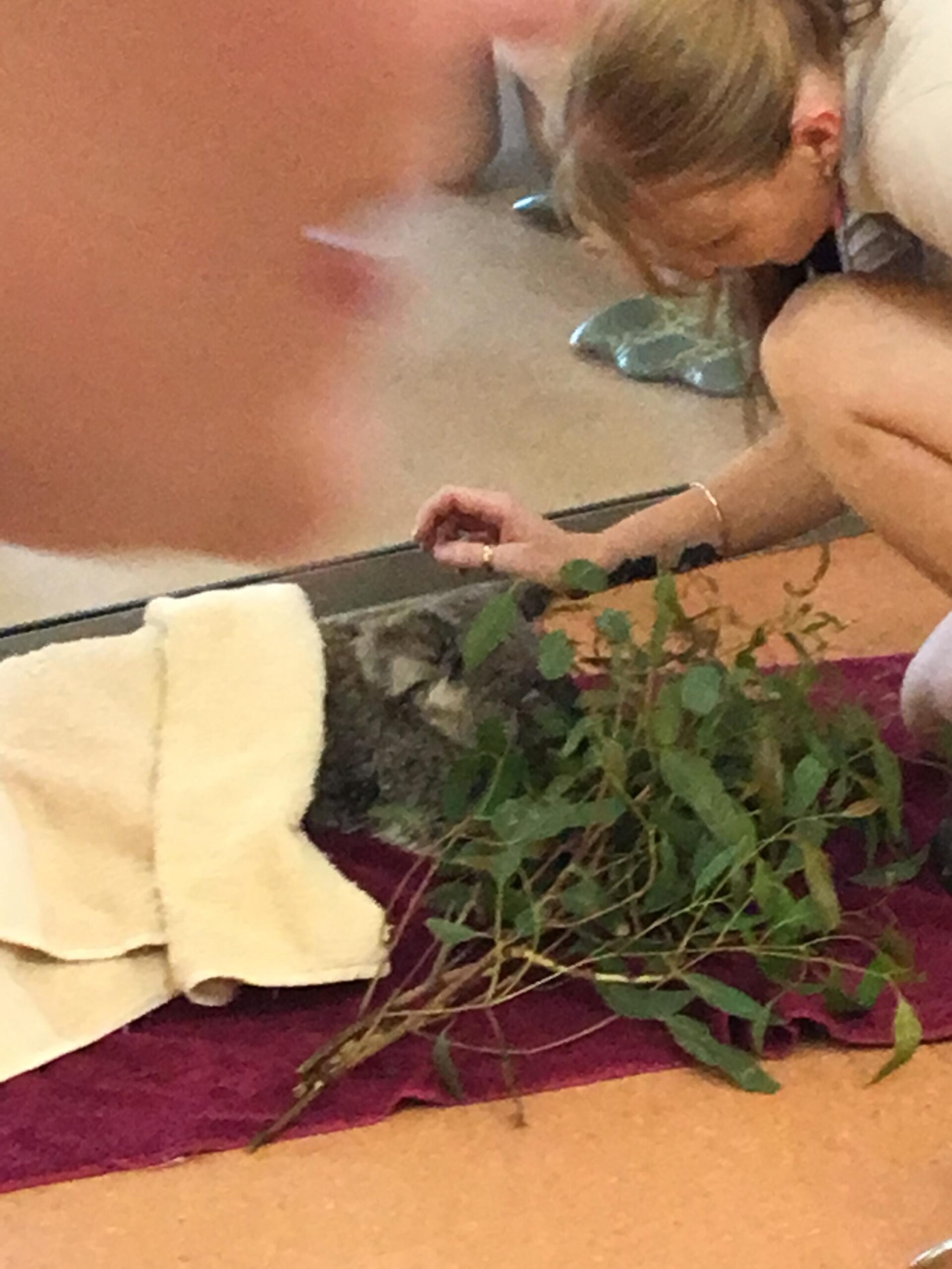 Treating sick Koala at Steve Irwin's Animal Hospital - Photo by Allen Rieland