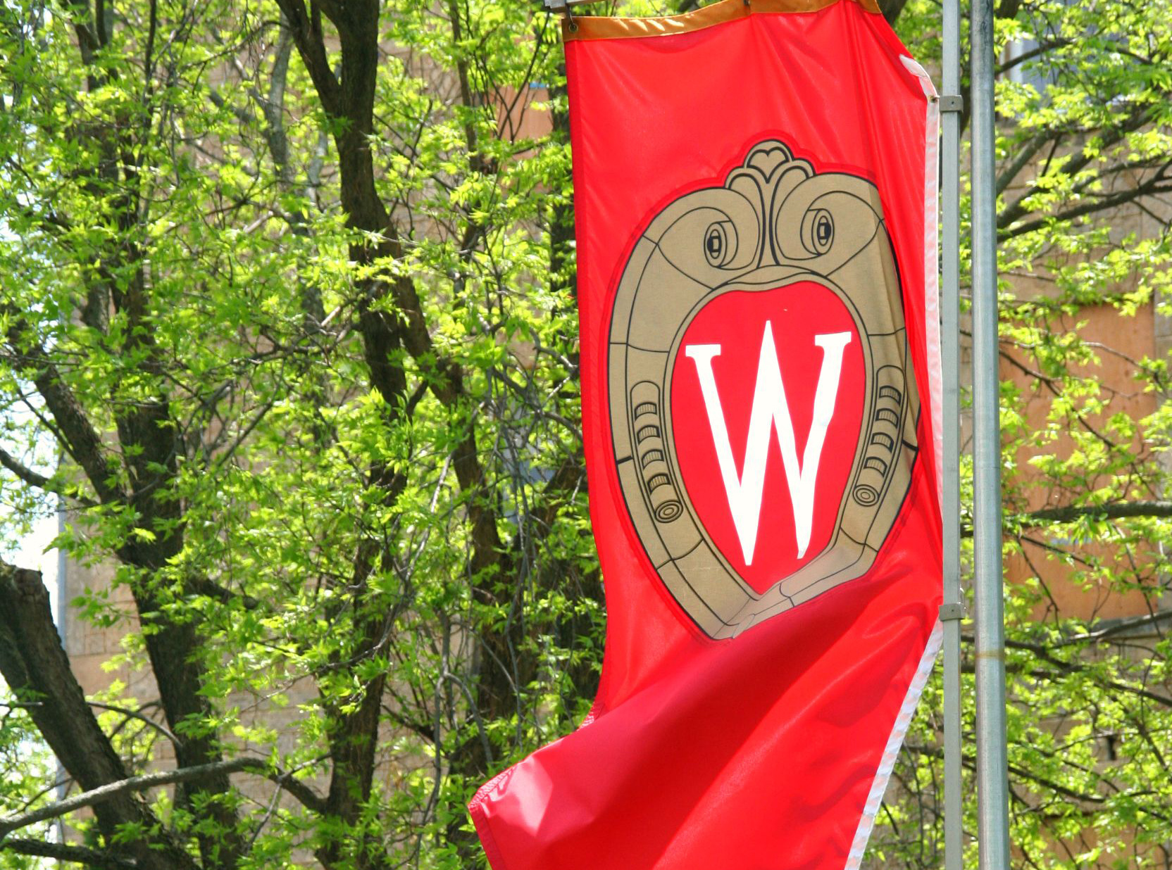 University of Wisconsin-Madison flag