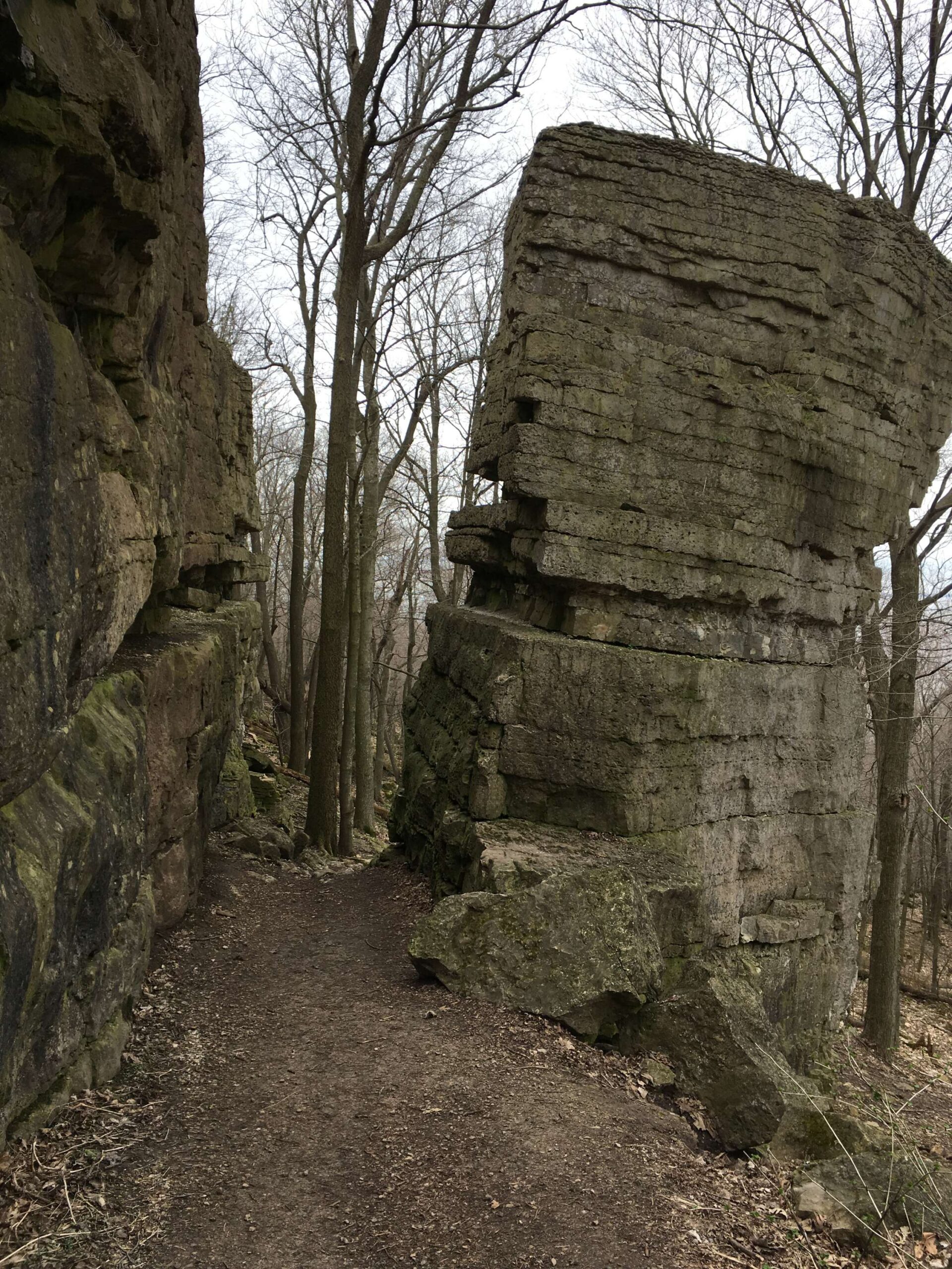 A vertical crack in the rock