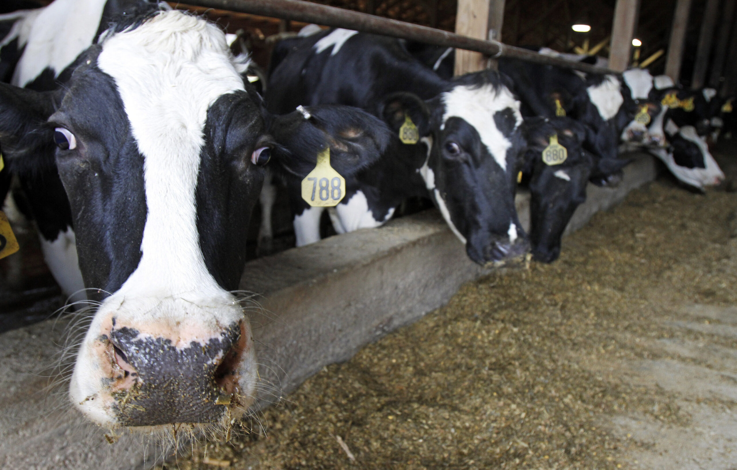 A Move In Kewaunee County Aims At Applying Manure To Croplands
