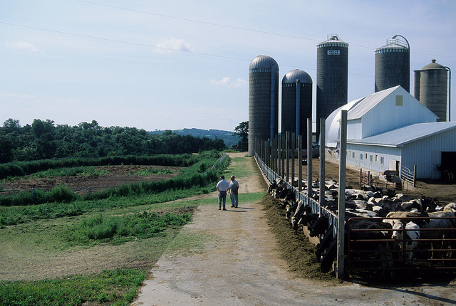 Wisconsin Dairy Farm