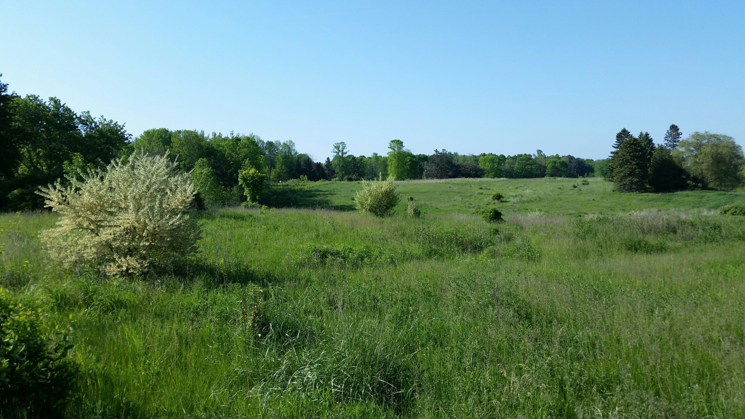 Old Wisconsin Golf Courses Find New Life As Wildlife Areas