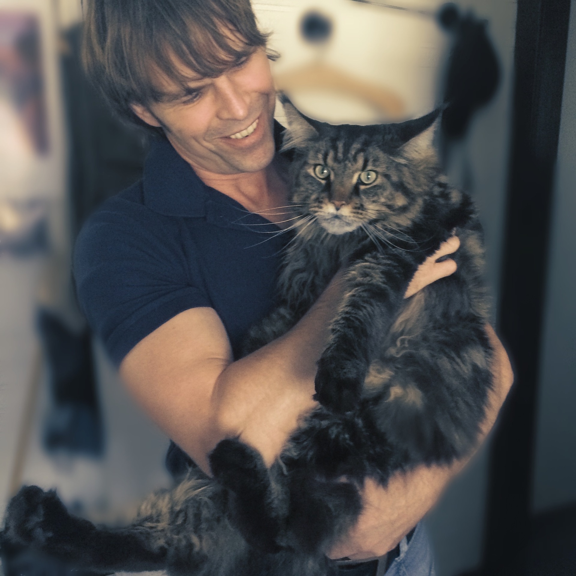man holding Maine coon cat