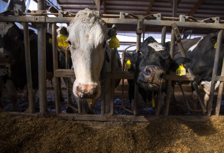 GOP Bill Would Give Farm Groups More Control Over Wisconsin Livestock Siting Standards