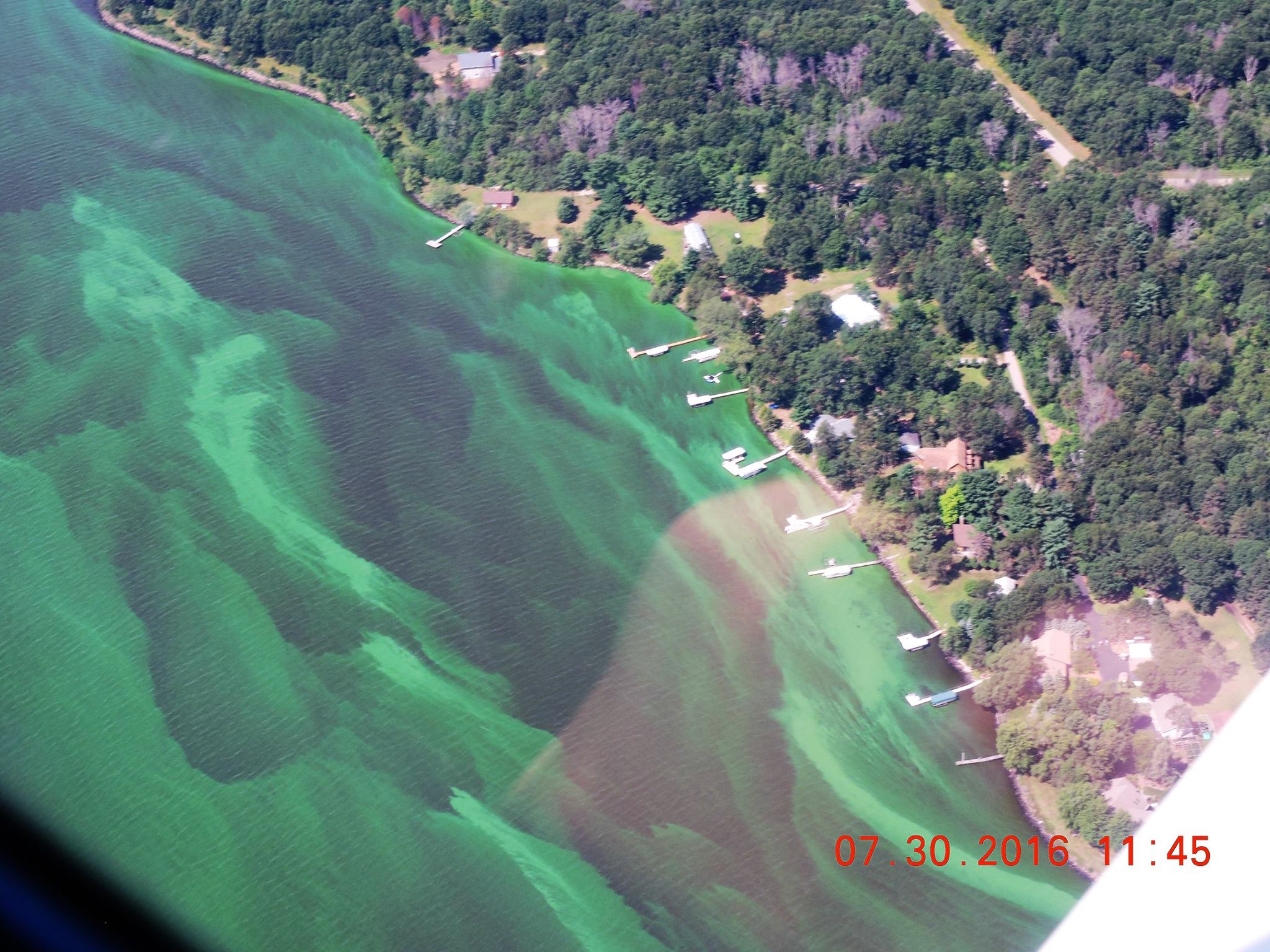 Blue-green algae blooms on Lake Petenwell