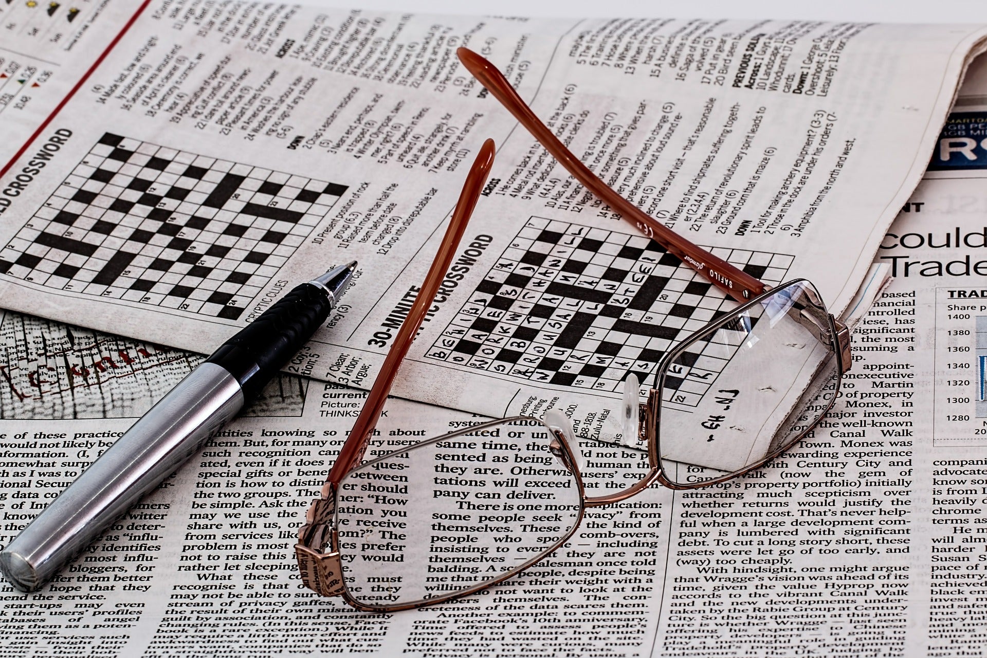 Reading glasses on crossword puzzel