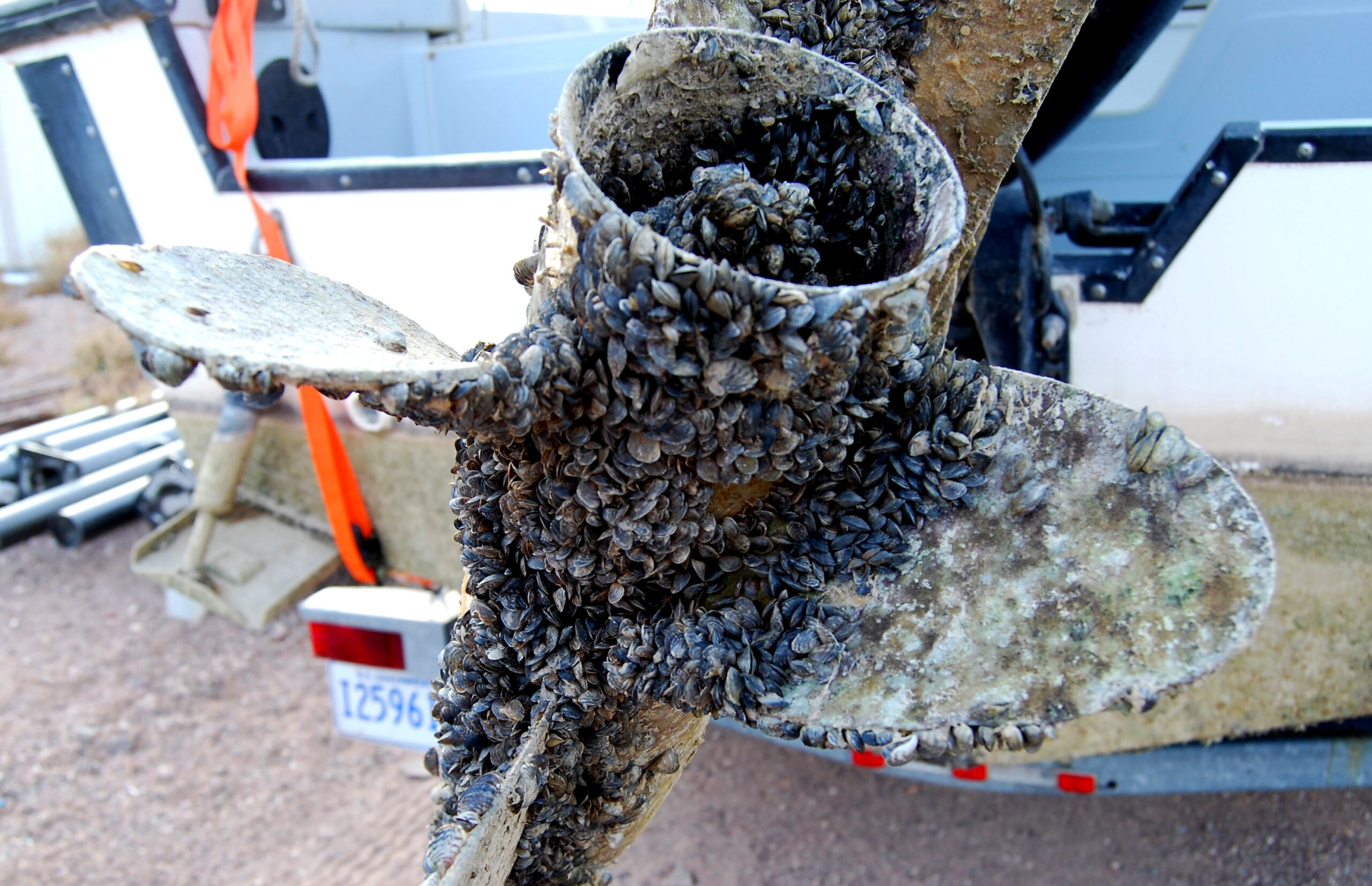 boat propeller with muscles