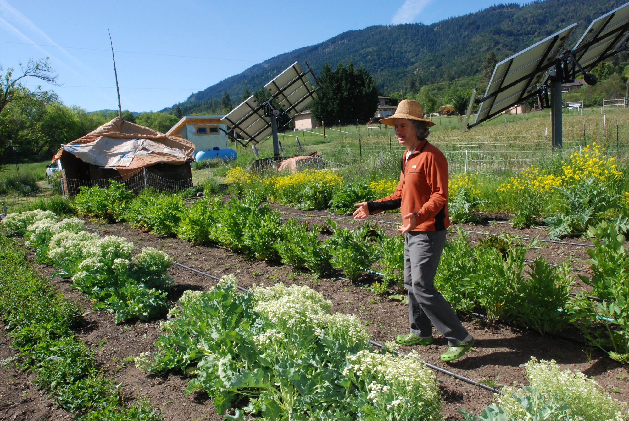 Man at organic farm