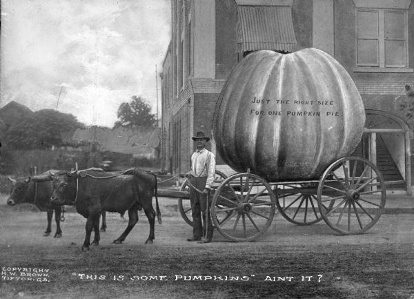 A Short History Of Pumpkins