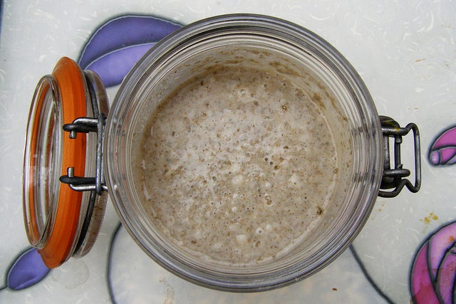 Fermenting starter